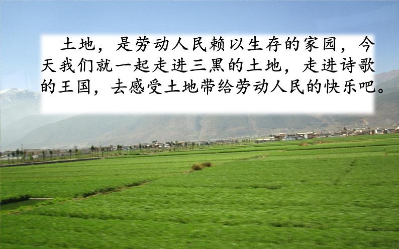 三黑和土地PPT课件免费下载02