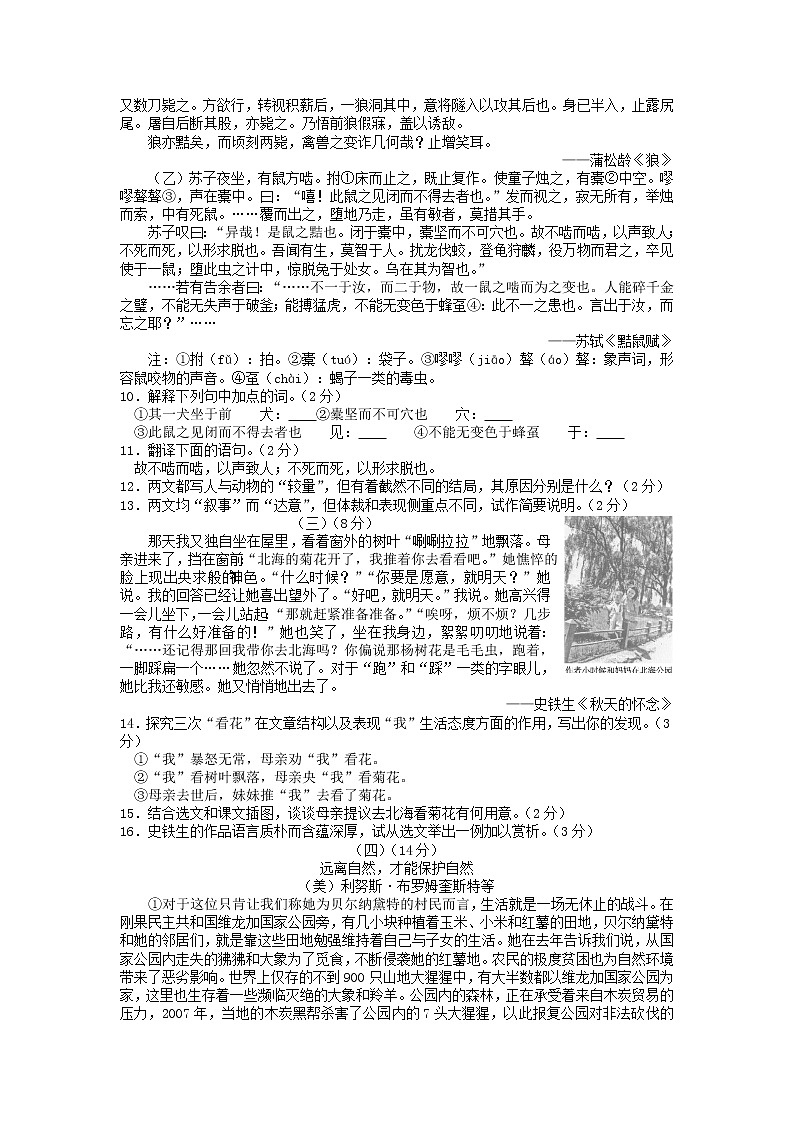 2016年山东省东营市中考语文试卷及答案03