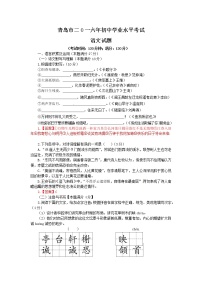 2016年山东省青岛市中考语文试题及答案