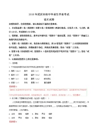 2018年湖北省武汉市初中毕业生学业考试语文试题（word版，含解析）