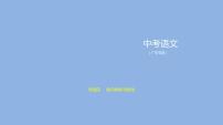 病句辨析与修改.（共69张PPT）