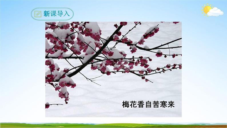 部编版人教版八年级语文下册古诗词《卜算子 咏梅》教学课件精品PPT初二优秀课堂课件第4页
