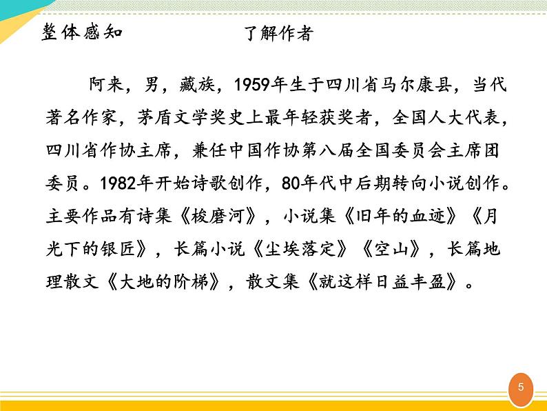 部编本八年级语文下册20.一滴水经过丽江 课件05