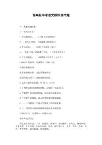 人教部编版中考语文模拟测试卷测试题有答案