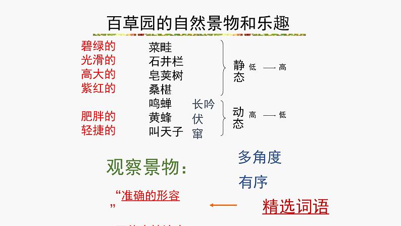 9 从百草园到三味书屋 课件—部编版七年级语文上册07
