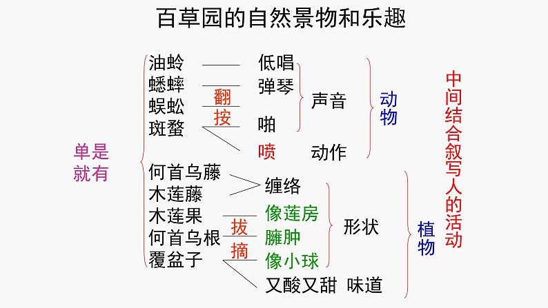 9 从百草园到三味书屋 课件—部编版七年级语文上册08