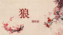 初中人教部编版18 狼教学课件ppt