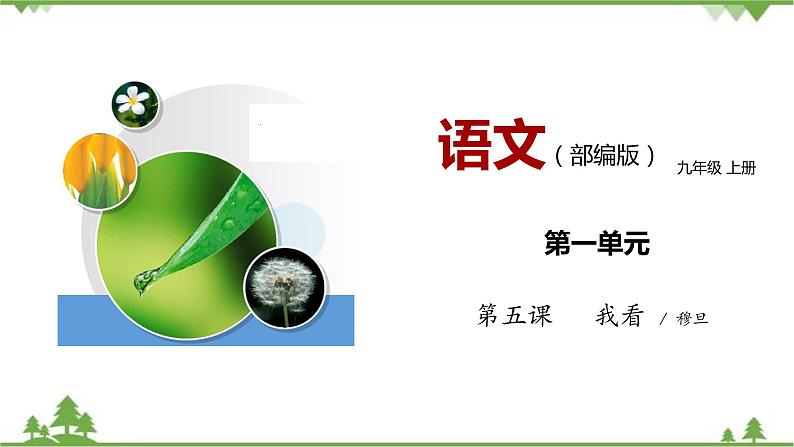 06 《我看》（课件+音视频素材）-2021-2022学年九年级语文上册同步课件(部编版)01