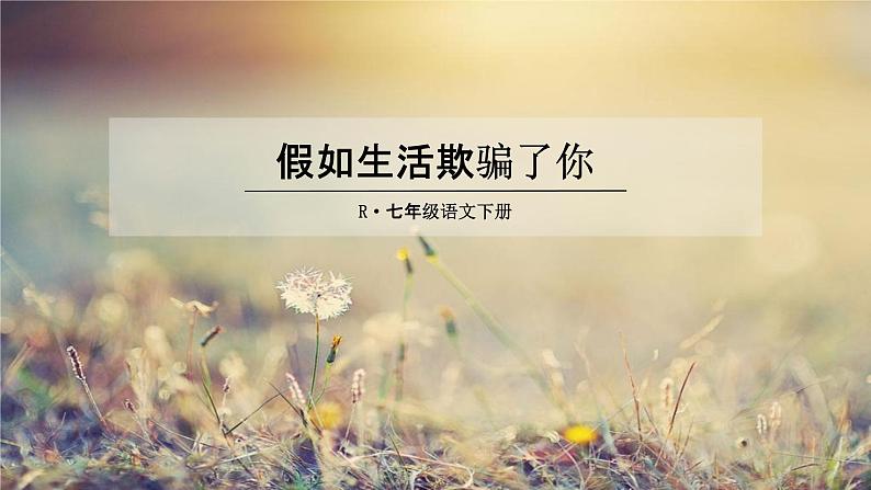 部编版人教版七年级语文下册《外国诗二首》教学课件精品PPT初一优秀课堂课件02