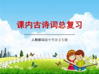 人教部编版中考语文专题《课内古诗词总复习》精品教学课件PPT优秀课件