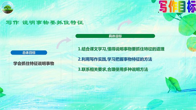 写作《说明事物要抓住特征》（第五单元）课件- 八年级语文上册部编版03