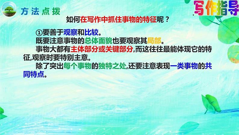 写作《说明事物要抓住特征》（第五单元）课件- 八年级语文上册部编版07