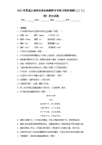 2021年黑龙江省哈尔滨市南岗区中考复习情况调研（三）（二模）语文试题(word版含答案）
