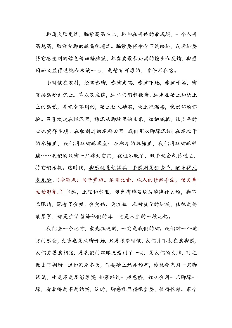 2021中考语文高频考点预测4.现代文（四）试卷02