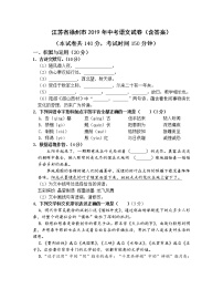 2019年江苏省徐州市中考语文试题（含答案）