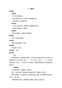 人教部编版八年级上册7*大雁归来教案设计