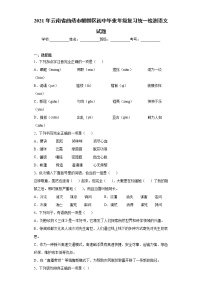 2021年云南省曲靖市麒麟区初中毕业年级复习统一检测语文试题(word版含答案）