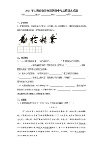 2021年山西省临汾市洪洞县中考三模语文试题(word版含答案）