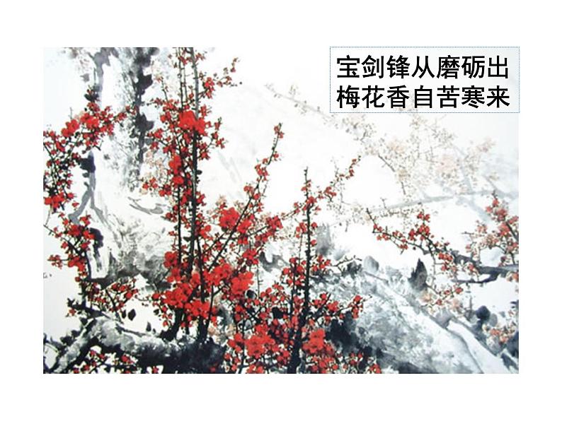 18  紫藤萝瀑布第4页