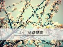 初中语文人教部编版七年级下册15 驿路梨花图片课件ppt