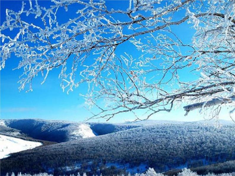 人教部编版七年级语文下册《土地的誓言》精品教学课件PPT初一优秀公开课704