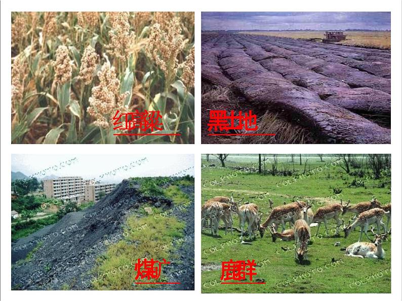 人教部编版七年级语文下册《土地的誓言》精品教学课件PPT初一优秀公开课707