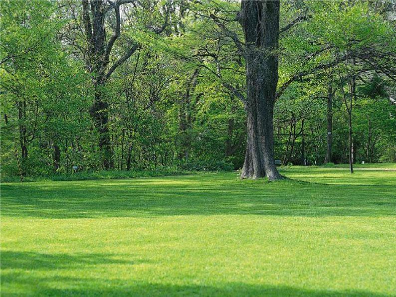 人教部编版七年级语文下册《土地的誓言》精品教学课件PPT初一优秀公开课06