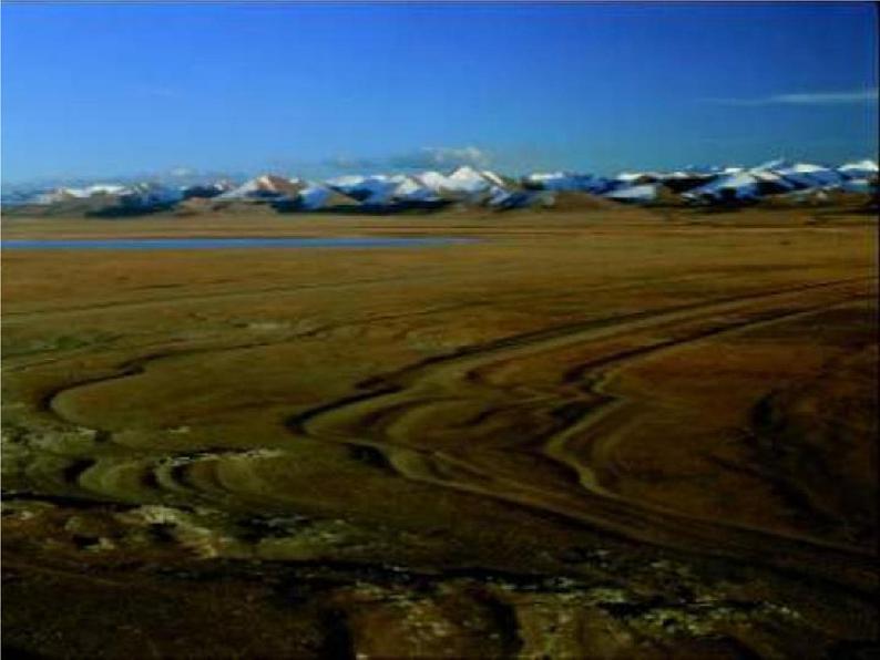 人教部编版七年级语文下册《土地的誓言》精品教学课件PPT初一优秀公开课603