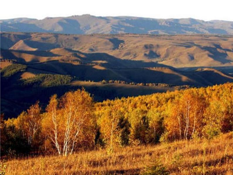 人教部编版七年级语文下册《土地的誓言》精品教学课件PPT初一优秀公开课504