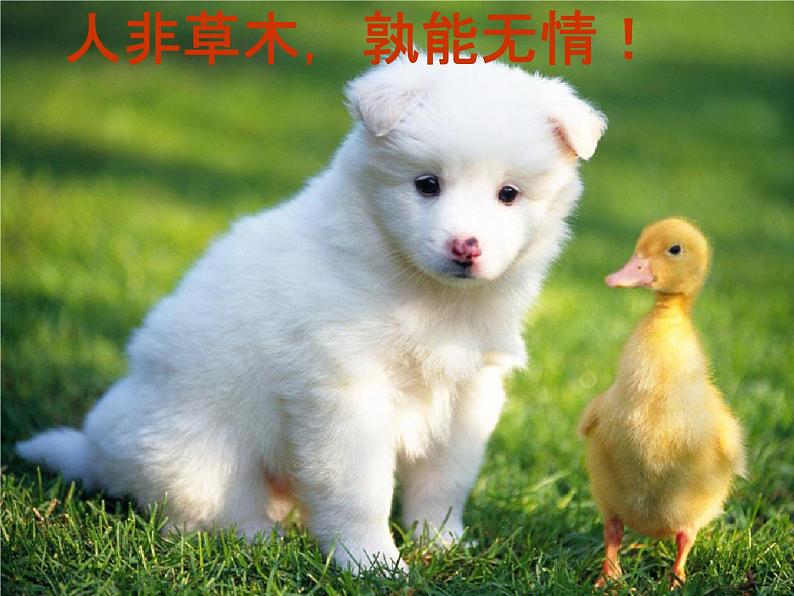 人教部编版七年级语文下册《写作：学习抒情》精品教学课件PPT初一优秀课件202