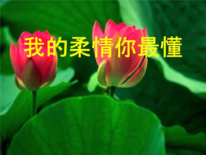 人教部编版七年级语文下册《写作：学习抒情》精品教学课件PPT初一优秀课件203