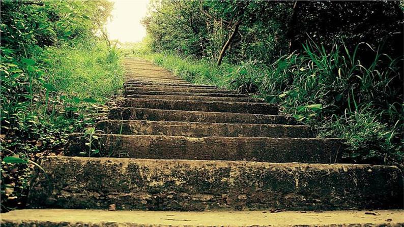 人教版语文七年级下册第三单元12《台阶》课件第1页