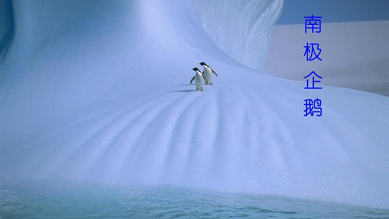 人教版语文七年级下册第六单元22《伟大的悲剧》课件PPT06