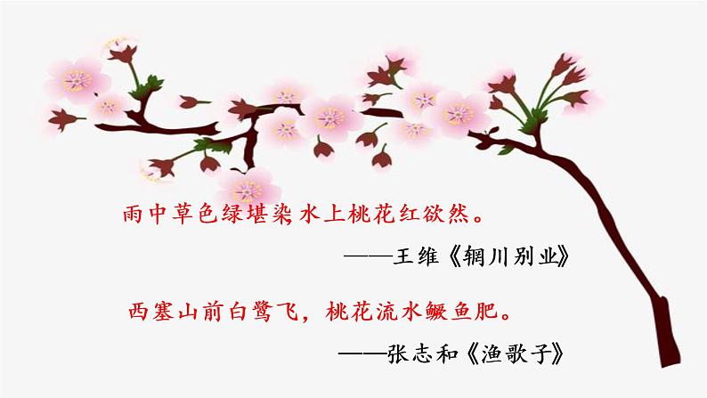 人教版语文七年级下册第五单元19《一颗小桃树》课件PPT第1页