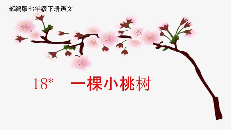 人教版语文七年级下册第五单元19《一颗小桃树》课件PPT第2页