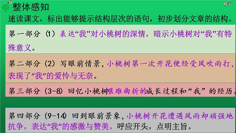 人教版语文七年级下册第五单元19《一颗小桃树》课件PPT第8页