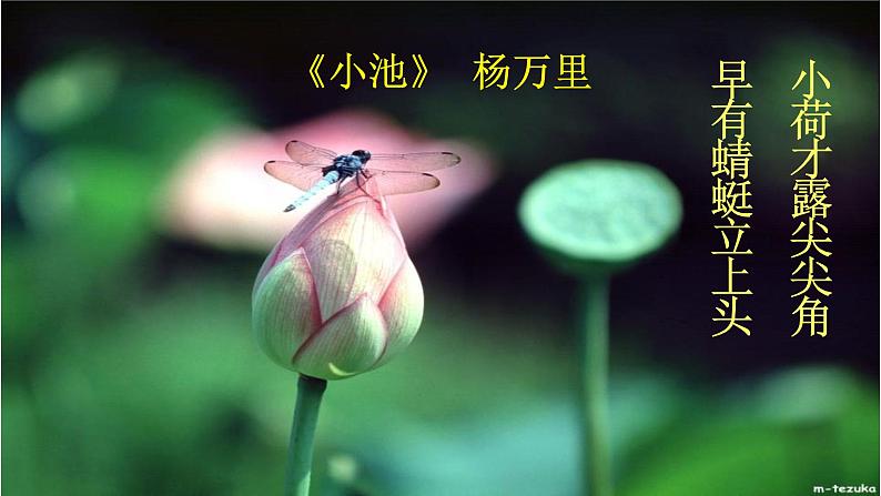 人教版语文七年级下册第四单元17《短文两篇—爱莲说》课件PPT03