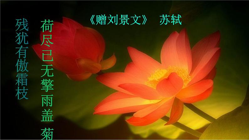 人教版语文七年级下册第四单元17《短文两篇—爱莲说》课件PPT05