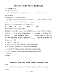 2020年中考真题解析 语文（湖北荆州卷）精编word版