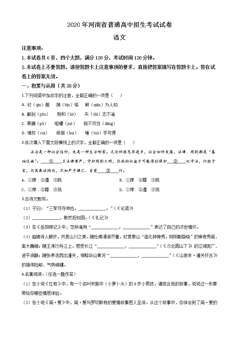 2020年中考真题解析 语文（河南卷）精编word版01