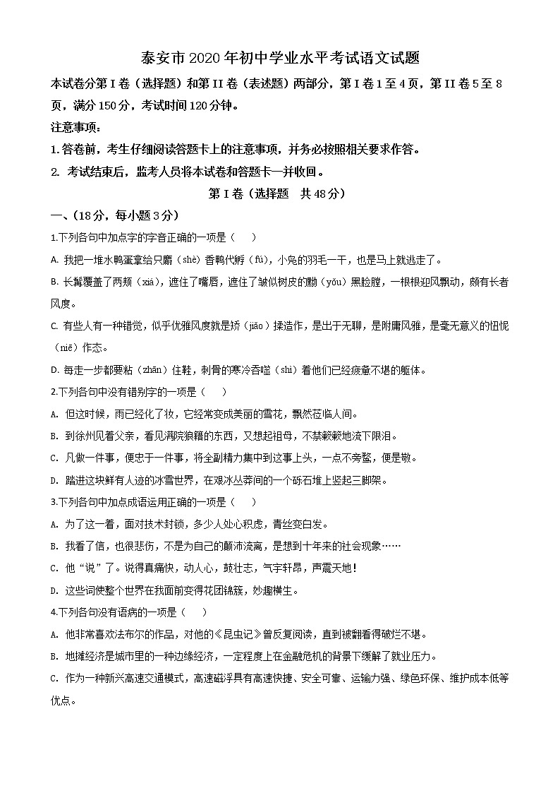 2020年中考真题解析 语文（山东泰安卷）精编word版01