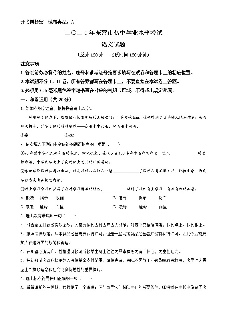 2020年中考真题解析 语文（山东东营卷）精编word版01