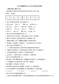 2020年中考真题解析 语文（辽宁锦州卷）精编word版