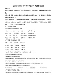 2020年中考真题解析 语文（山东滨州卷）精编word版