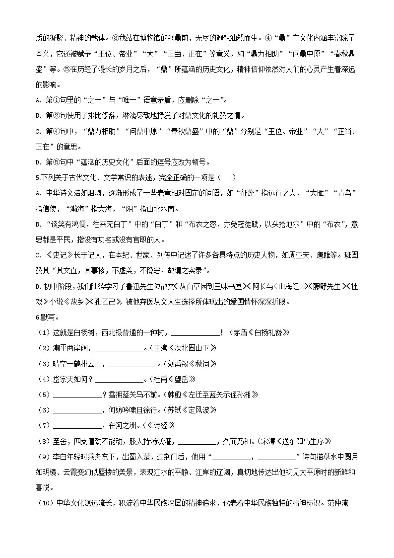 2020年中考真题解析 语文（山东滨州卷）精编word版02