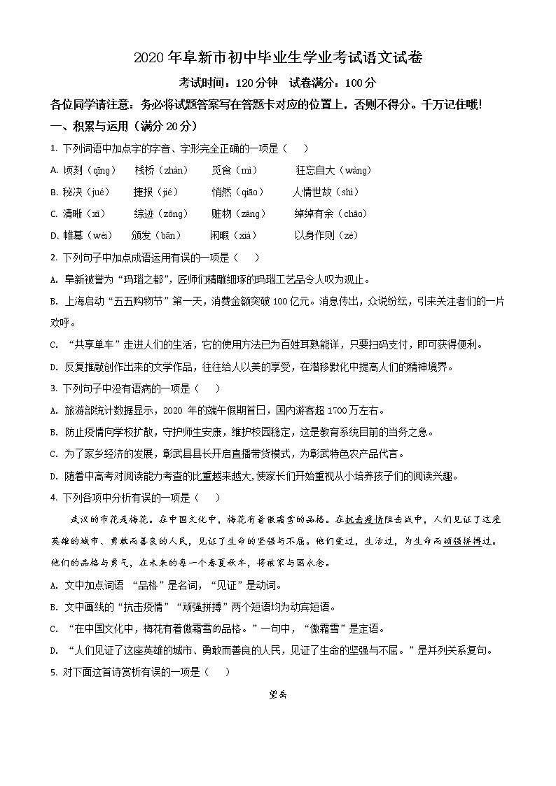 2020年中考真题解析 语文（辽宁阜新卷）精编word版01