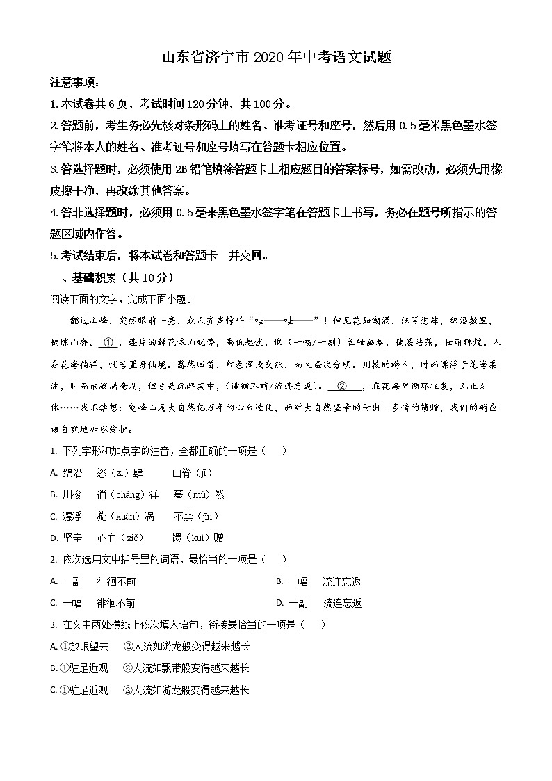 2020年中考真题解析 语文（山东济宁卷）精编word版01