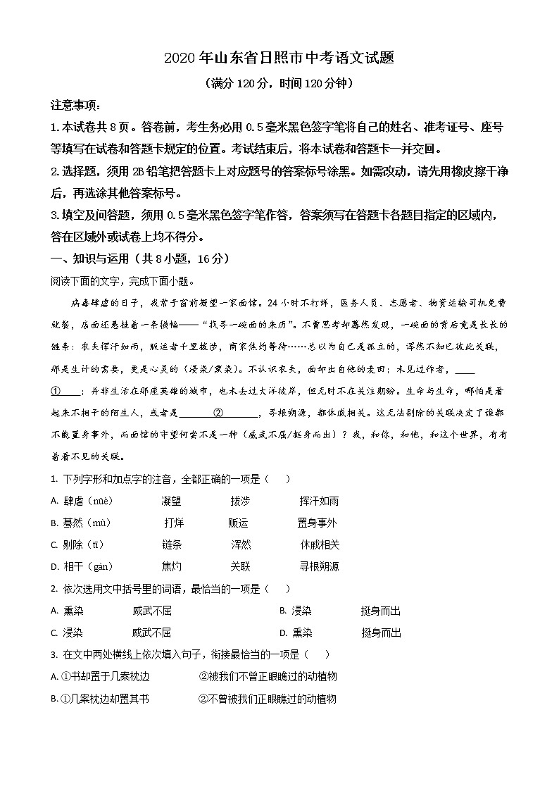 2020年中考真题解析 语文（山东日照卷）精编word版01