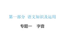 2020届中考语文总复习专题课件：专题一  字音 (共25张PPT)