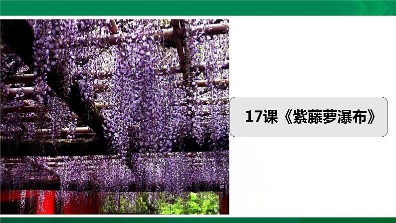 人教版语文七年级下册第五单元18《紫藤萝瀑布》课件PPT第1页